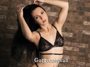 Gorgeousswan