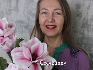 Greybunny