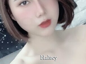 Halucy
