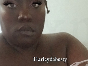 Harleydabusty