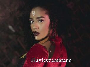 Hayleyzambrano