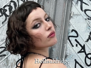 Hollisaldridge