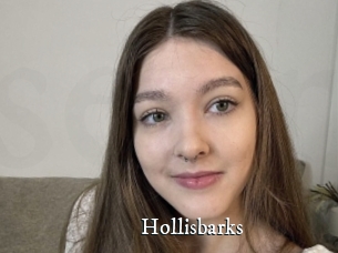 Hollisbarks