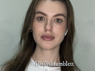 Hollisbramblett