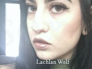 Lachlan_Wolf