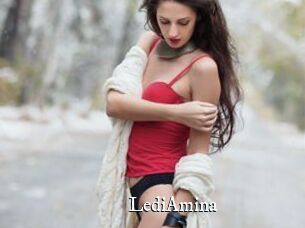 LediAmina