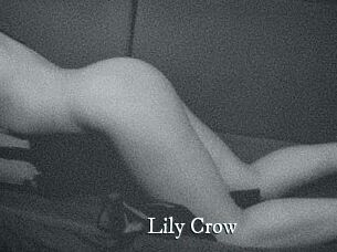 Lily_Crow