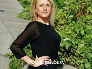 LittleSusy