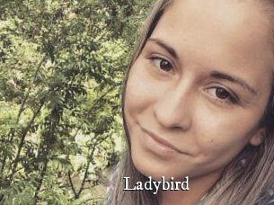Ladybird