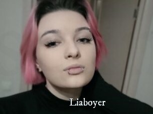Liaboyer