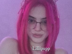 Lillipupp