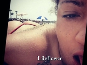 Lilyflower