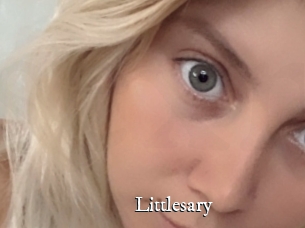 Littlesary