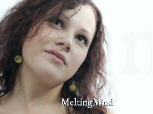 MeltingMind