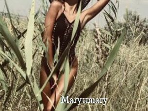 Maryttmary
