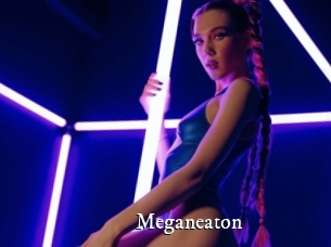 Meganeaton