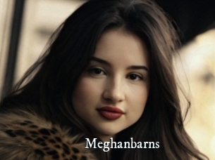 Meghanbarns