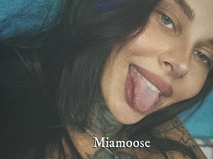Miamoose
