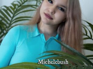 Michelebush