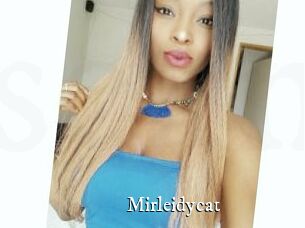 Mirleidycat