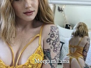 Morganallama