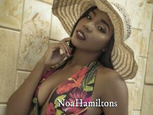 NoaHamiltons