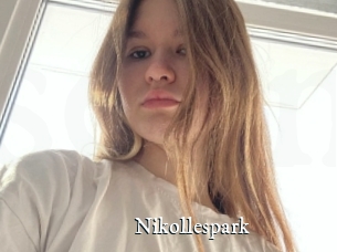 Nikollespark