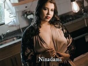 ninadams Sex Met