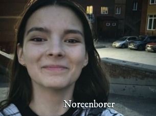Noreenborer