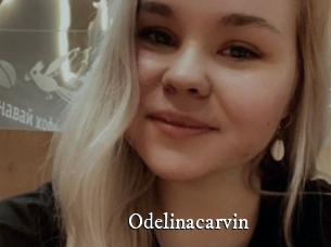 Odelinacarvin