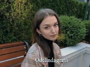 Odelindagrass