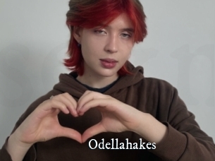 Odellahakes