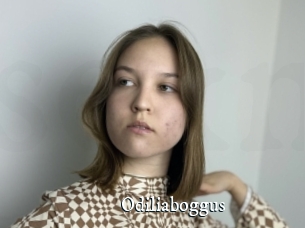 Odiliaboggus
