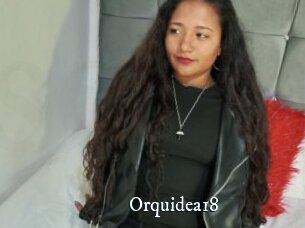 Orquidea18