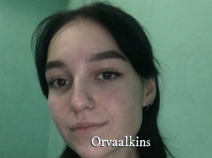 Orvaalkins