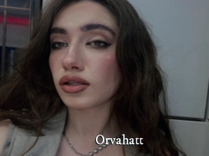 Orvahatt