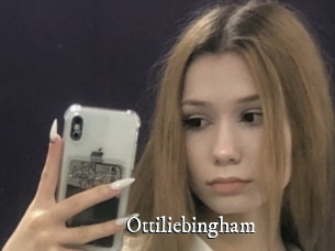 Ottiliebingham