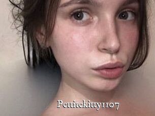 Pettitekitty1107