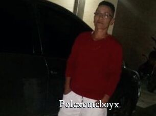 Polexcuteboyx