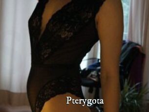 Pterygota
