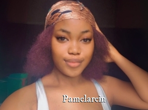 Pamelarein