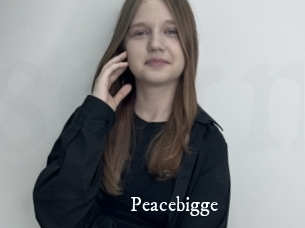 Peacebigge