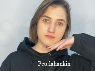Petulahankin