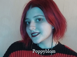 Poppyblom