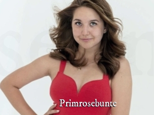 Primrosebunte
