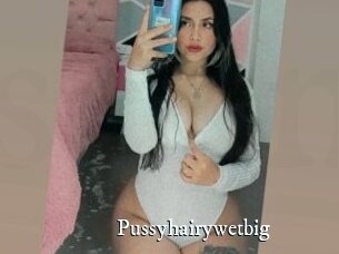 Pussyhairywetbig