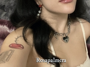 Rosapalmera