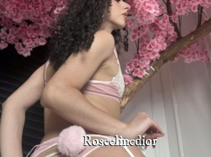 Roseelinedior