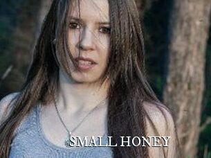 SMALL_HONEY