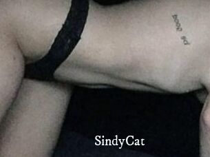 SindyCat
